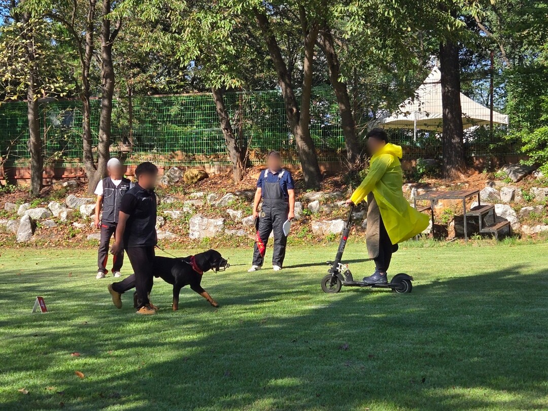 경기도, 맹견소유자 맹견사육허가 받아...
