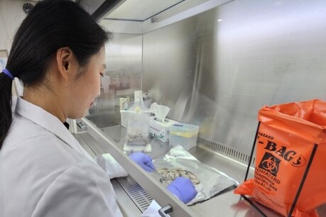 인천시, 겨울철 노로바이러스 식중독 주의 당부…다소비식품 관리 강화