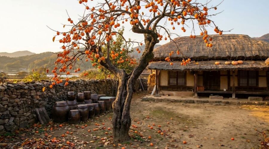 명과 운 그리고 나침반-5