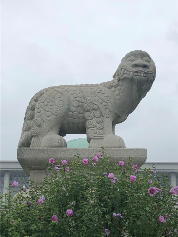 미국 사랑이 남다른 대한민국 국회의원...